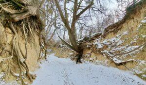 outdoor in winter time