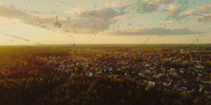 Supraśl travel guide: pines, icons, potatoes & more Suprasl